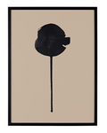 Shadow Of A Dandelion Framed Wall Art — Black — Wall Art